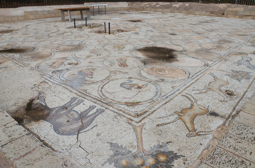 6th century AD Bird Mosaic that adorned the atrium of a large palace complex outside the city wall of Byzantine Caesarea.