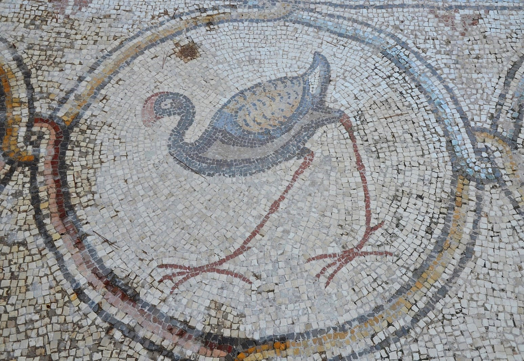 6th century AD Bird Mosaic that adorned the atrium of a large palace complex outside the city wall of Byzantine Caesarea.